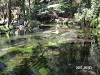 s_PICT0102_thumb.png